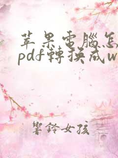 苹果电脑怎么把pdf转换成word
