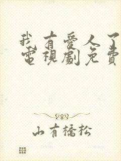 我有爱人了韩剧电视剧免费观看全集