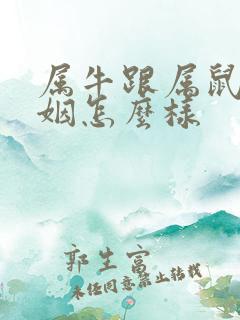 属牛跟属鼠的婚姻怎么样