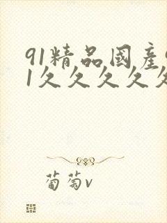 91精品国产91久久久久久丝袜