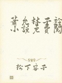萧允林子衿穿越小说免费阅读无弹窗