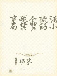 穿越全职法师开局禁咒的小说
