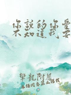 你说的你爱我你不知道我要的是什么