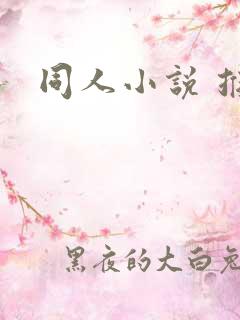 同人小说 推荐