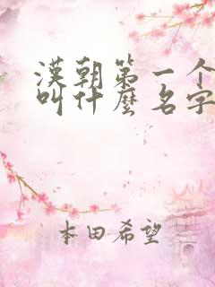 汉朝第一个皇上叫什么名字
