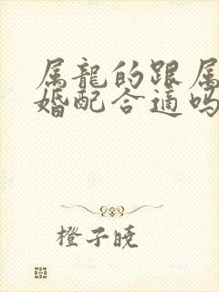 属龙的跟属兔的婚配合适吗