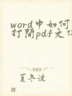 word中如何打开pdf文件