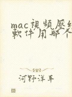 mac视频压缩软件用哪个
