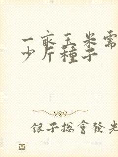 一亩玉米需要多少斤种子