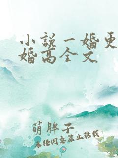 小说一婚更比一婚高全文