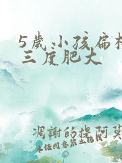 5岁小孩扁桃体三度肥大