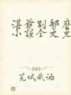 湛爷别那么暴躁小说全文免费阅读