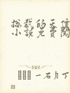 总裁的天价前妻小说免费阅读