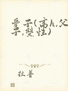 爱子(高h,父子,双性)