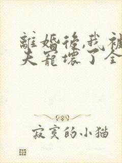 离婚后,我被前夫宠坏了全