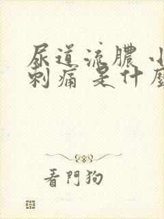 尿道流脓 小便刺痛 是什么问题