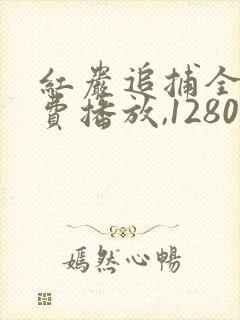 红岩追捕全集免费播放,1280p