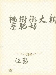 桃树膨大期追什么肥好