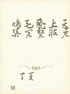 鸡毛飞上天55集完整版免费高清