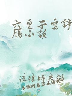 六皇子云铮沈落雁小说