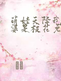 萌娃天降我的老婆是校花免费观看