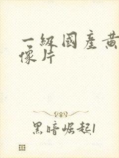 一级国产黄色录像片