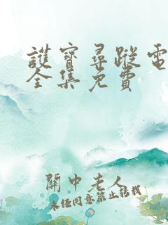 护宝寻踪电视剧全集免费