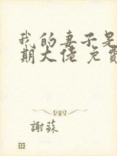 我的妻子是大乘期大佬 免费看