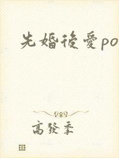 先婚后爱po