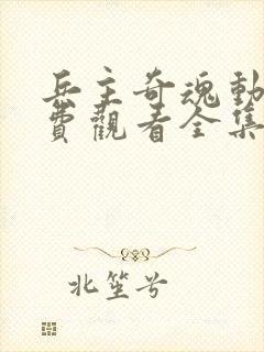 兵主奇魂动漫免费观看全集高清