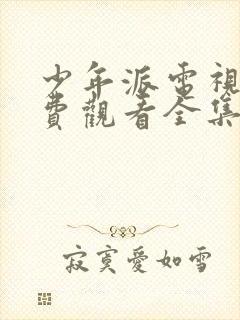 少年派电视剧免费观看全集在线播放