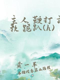 主人 鞭打 调教 跪趴(h)