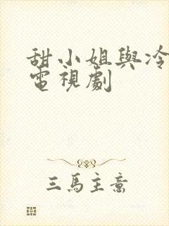甜小姐与冷先生电视剧