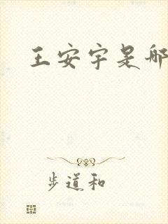 王安宇是哪里人
