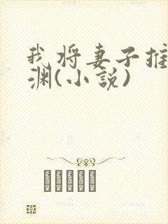 我将妻子推向深渊(小说)