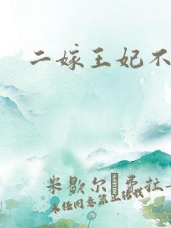 二嫁王妃不好惹