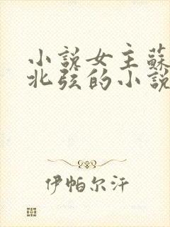 小说女主苏o顾北弦的小说