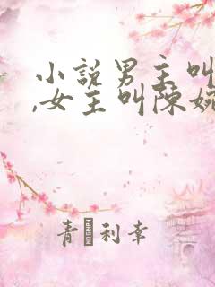 小说男主叫秦昊,女主叫陈婉