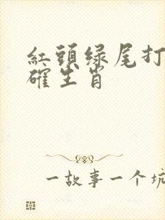 红头绿尾打一正确生肖