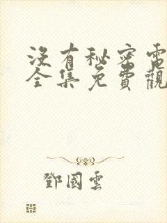 没有秘密电视剧全集免费观看