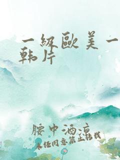 一级欧美一级日韩片
