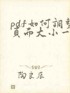 pdf如何调整页面大小一致