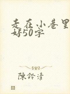 走在小巷里心情好50字