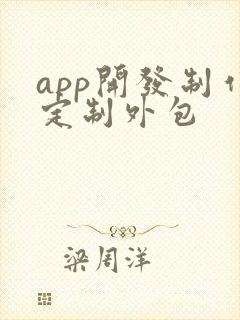 app开发制作定制外包