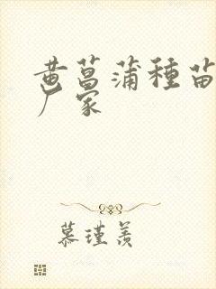 黄菖蒲种苗供应厂家