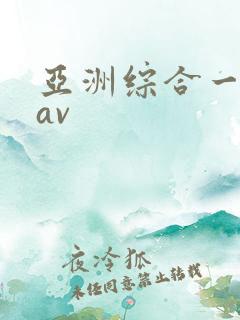 亚洲综合一区二av