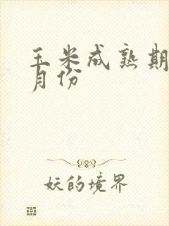 玉米成熟期在几月份