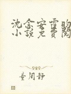 沈念安霍昀洲的小说免费阅读