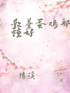 散养蛋鸡哪个品种好