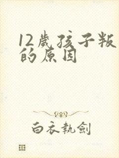 12岁孩子叛逆的原因